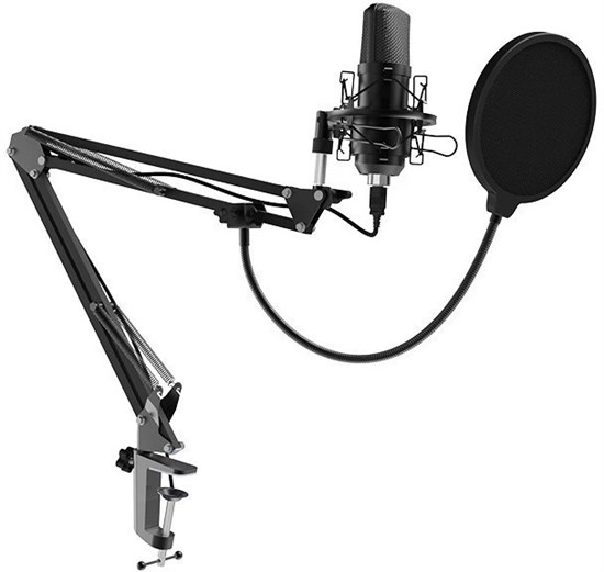 Микрофон Ritmix RDM-169 Black 503406
