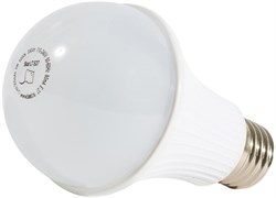 Светодиодная лампочка Бастион SKAT LED-220 E27 117893
