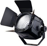 Прожектор Exell Lighting EXLPARCOB100 102871