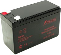 Аккумуляторная батарея Powerman CA1272/UPS 111403