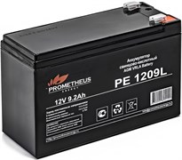 Аккумуляторная батарея Prometheus Energy PE 1209L 111410