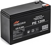 Аккумуляторная батарея Prometheus Energy PE 1209 111409