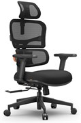 Офисное кресло FoxGear NETZ XO Black 112709