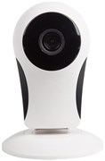 IP камера Rexant 45-0149 145511