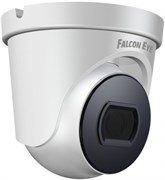 IP камера Falcon Eye FE-IPC-D2-30P 145342