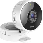 IP камера D-Link DCS-8100LH 145064