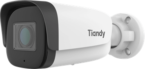IP камера Tiandy TC-C34US (2GTB-2812) 145539