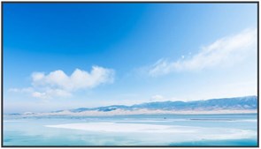 ЖК панель Exell 55" EXPD-DA55AM5 121713