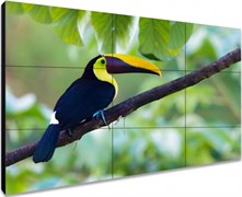 ЖК панель Exell 55" EXPD-WA55AB15 121714