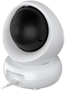Умная камера Ritmix IPC-230-Tuya 124026