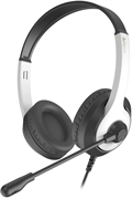 Гарнитура A4Tech Fstyler FH100U Panda 518800