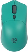Мышь Raskat MG009WR Green 517445