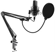 Микрофон Ritmix RDM-169 Black 503406