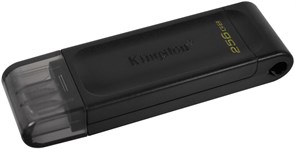 USB Flash накопитель 256GB Kingston DataTraveler DT70 (DT70/256GB) 504689