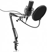 Микрофон Ritmix RDM-180 Black 503408