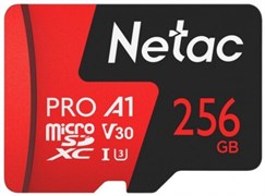 Карта памяти 256GB MicroSD Netac P500 Extreme Pro (NT02P500PRO-256G-S) 503887