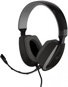 Гарнитура Klipsch KG-200 500739