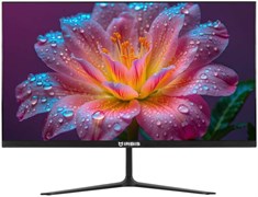 Монитор IRBIS 22" GroovyView 22 (IGV22FID01) 515817