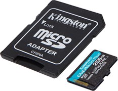 Карта памяти 256GB MicroSD Kingston Canvas Go! Plus + SD адаптер (SDCG4/256GB) 503884