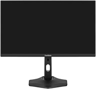 Монитор ExeGate 24" ProSmart EH2400C 515712