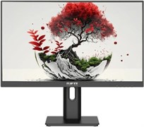 Монитор RDW Computers 24" 2401K (F08B3100V2A1A) 516014