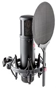 Микрофон sE Electronics SE 2200 503417
