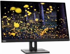 Монитор Lenovo 27" ThinkVision E27q-20 (62D0GAT1IS) 515841