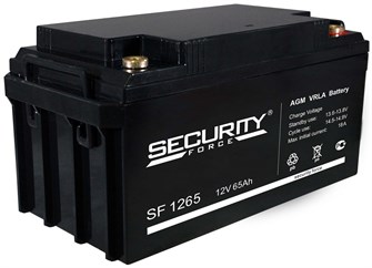Аккумулятор  Security Force 12 В, 65 Ач 224944