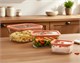 Вакуумные контейнеры Status Viva set 4 Salmon 126400