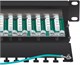Патч-панель Cabeus PL-12-Cat.6 10"-SH-Dual IDC 138034