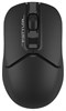 Мышь A4Tech Fstyler FB12 Black 516183