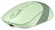 Мышь A4Tech Fstyler FB10C Green 516244
