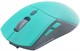 Мышь Raskat MG009WR Green 517445
