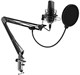 Микрофон Ritmix RDM-169 Black 503406