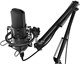 Микрофон Ritmix RDM-169 Black 503406