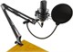 Микрофон Ritmix RDM-169 Black 503406