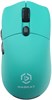 Мышь Raskat MG006TR Green 517444