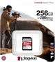 Карта памяти 256GB SD Kingston Canvas React Plus (SDR2V6/256GB) 503621