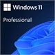 ПО Microsoft Windows 11 Home 64-bit English 1pk DSP OEI DVD (KW9-00633) 514345