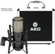 Микрофон AKG P220 503219