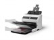 Сканер Epson WorkForce DS-870 509147