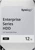 Жёсткий диск 12TB SAS Synology (HAS5310-12T) 505924
