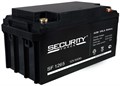 Аккумулятор  Security Force 12 В, 65 Ач 224945