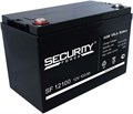 Аккумулятор  Security Force 12 В, 100 Ач 225000